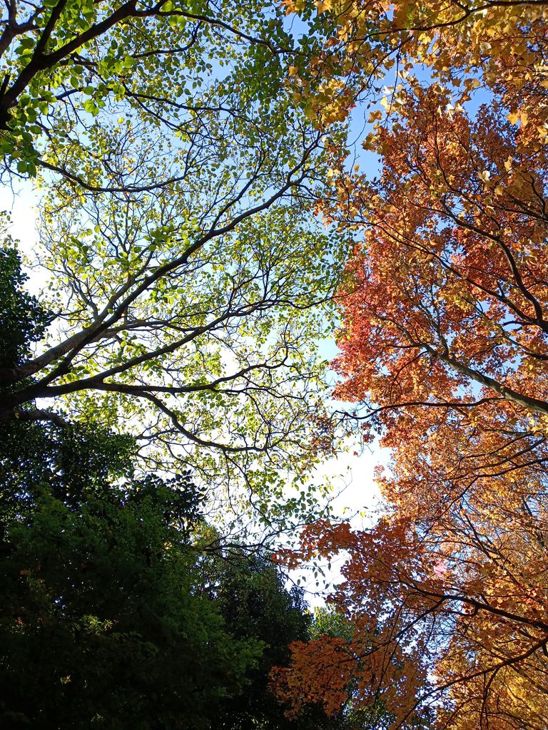 Seasons of life