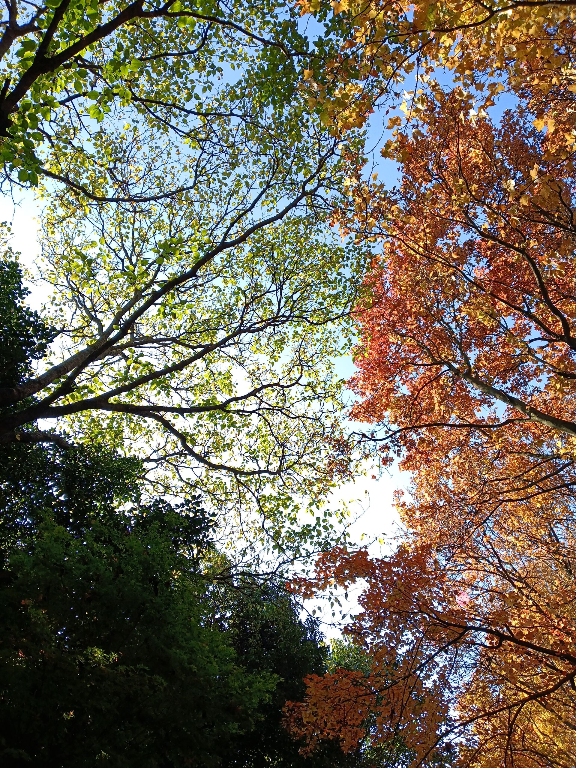 Seasons of life